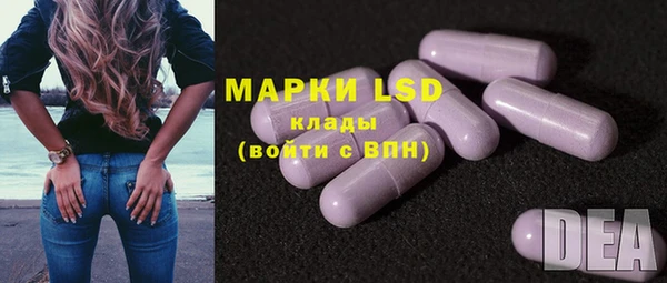 индика Арсеньев