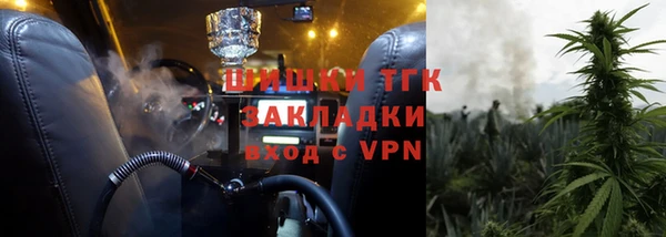 сатива Баксан