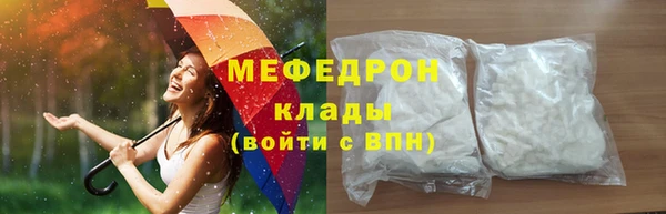 индика Арсеньев
