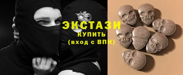 индика Арсеньев