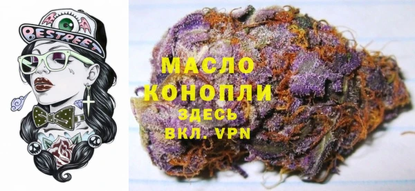 индика Арсеньев