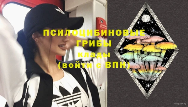 индика Арсеньев