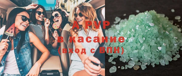 индика Арсеньев
